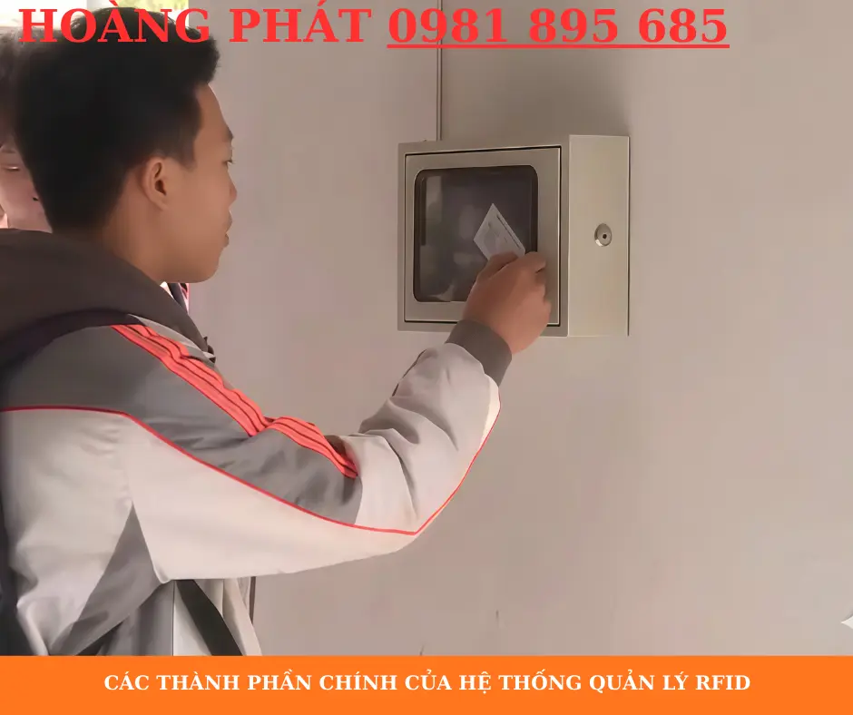 cac-thanh-phan-chinh-cua-he-thong-quan-ly-rfid-la-gi